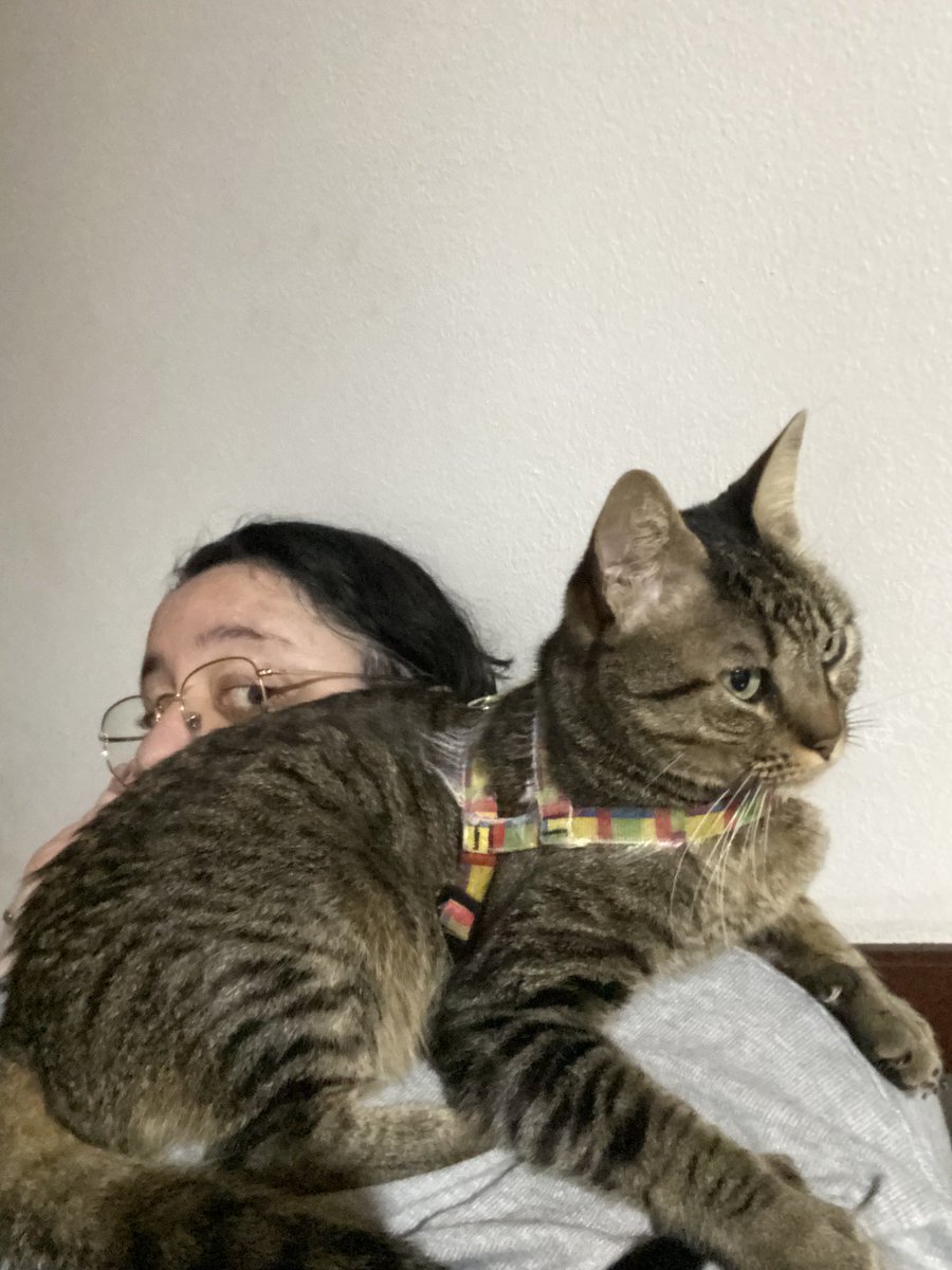 Lo dejé un día solito. Y acá anda poniendo los mimos al día 🥰🥹 
Gato raza pegote 😻