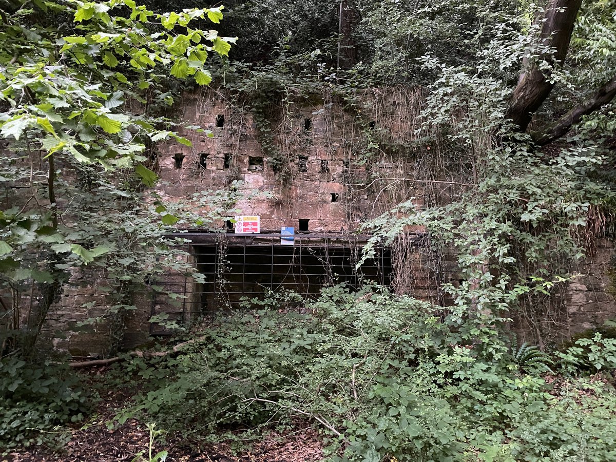 It took some finding, because it's a bit off the main track through Blaydon Burn, but this is the entrance to Betsy Pit, which closed in the mid-1950s. The coal seam was just 2'10" high. Imagine spending a 12 hour shift in that. <a href="/neheritagelib/">North East Heritage Library</a> <a href="/coal_legacies/">Mining Landscapes</a> <a href="/NorthEastTweets/">North East Tweets</a>