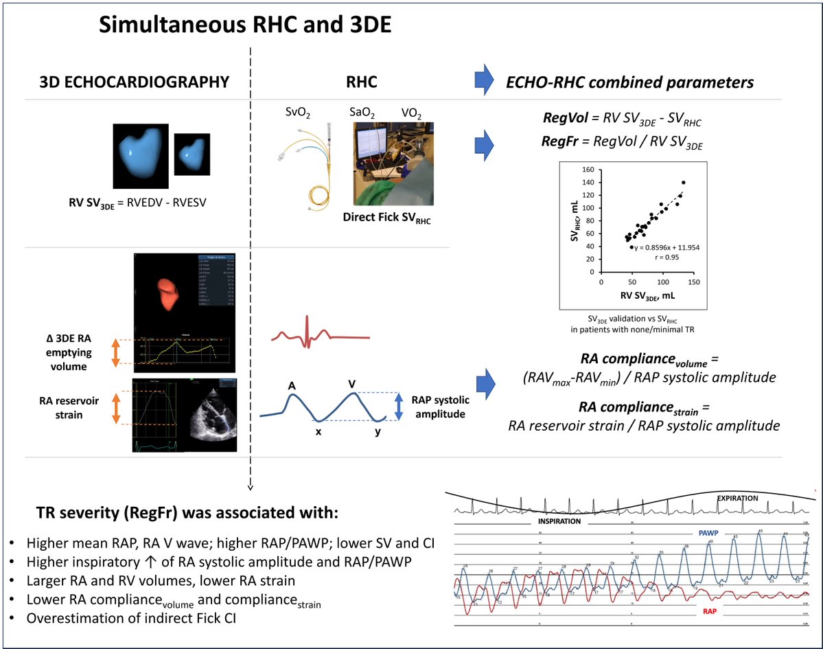 CircHF's tweet image. Determinants of Right Heart Hemodynamic Derangement in Patients with and Without Tricuspid Regurgitation @GParati22 @denisamuraru @GodinoCosmo @FudimMarat @a_sorropago @jeanlucvachiery @CaravitaSergio @michetomaselli @lpbadano #AHAJournals ahajrnls.org/3I9kSDU