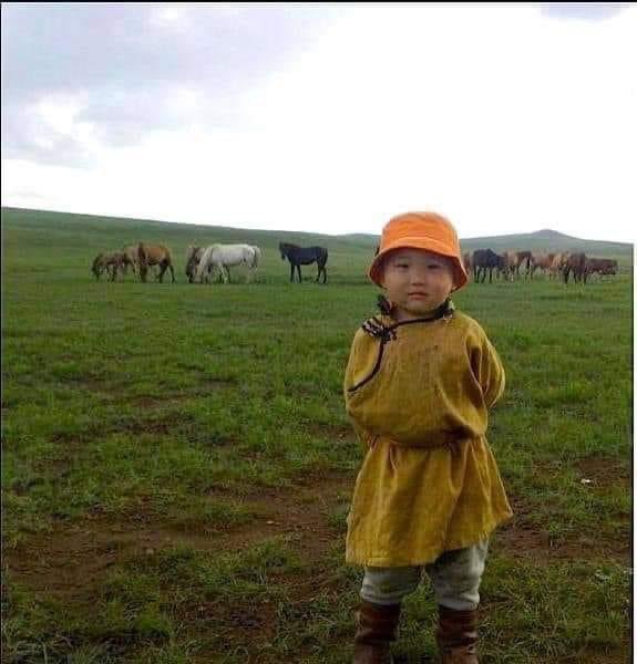 Өглөөний мэнд 

За өнөөдөр чинь талбай дээр өнжих байхдаа.