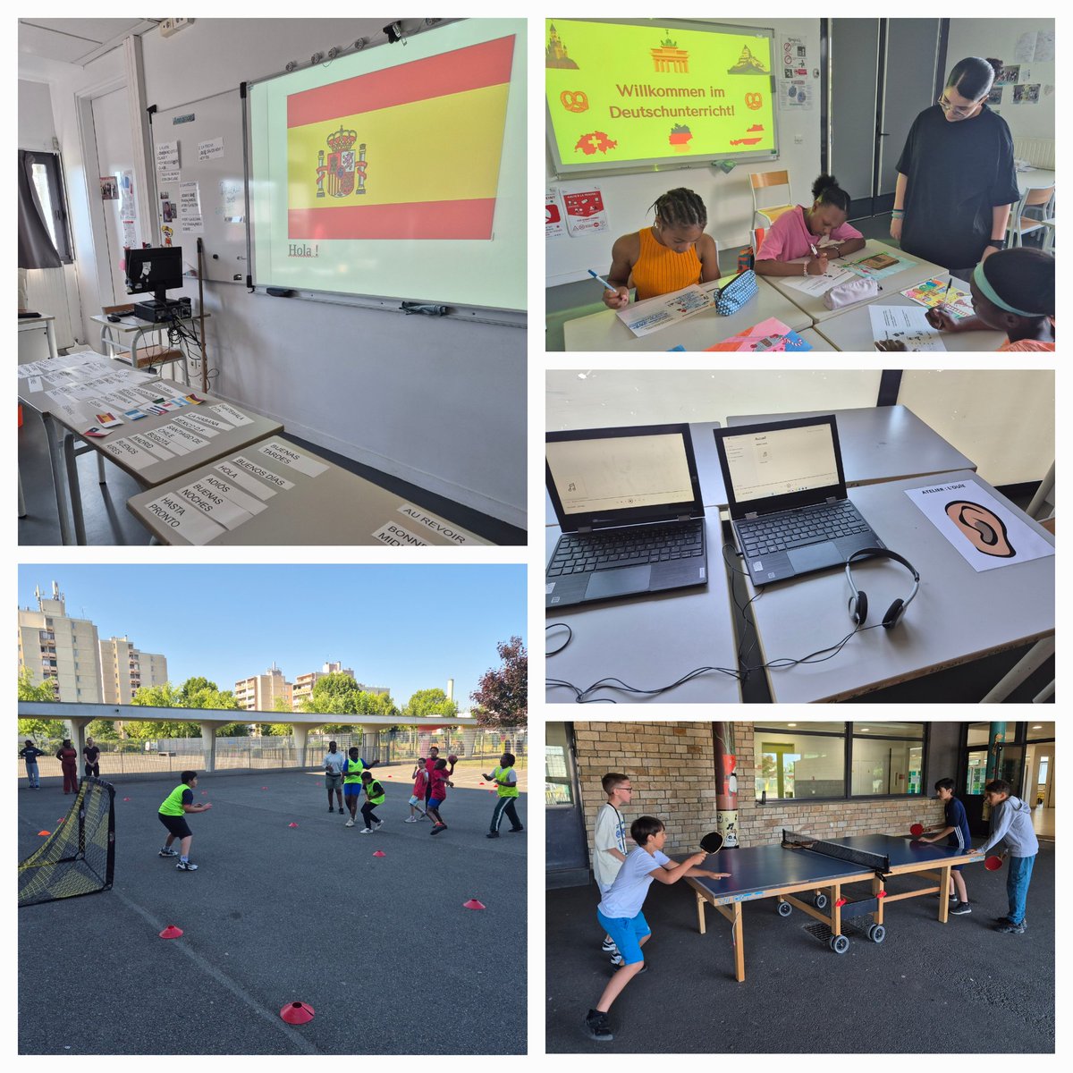 Marie BAILLAU-VEILLARD tweet media