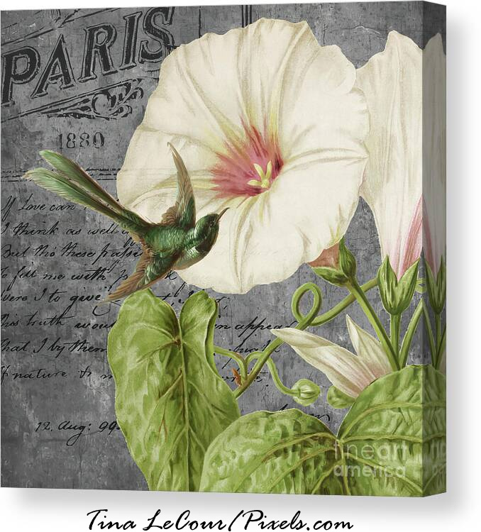 Vintage Paris Motif 2...Available here...tina-lecour.pixels.com/featured/vinta…

#vintage #vintagestyle #vintagevibes #Flowers #flower #flowersonfriday #FlowersOnX #Floral #bird #BIRDSTORY #Paris #arte #artforsale #wallartforsale #wallartdecor #homedecor #interiordecor #interiordesign #collage