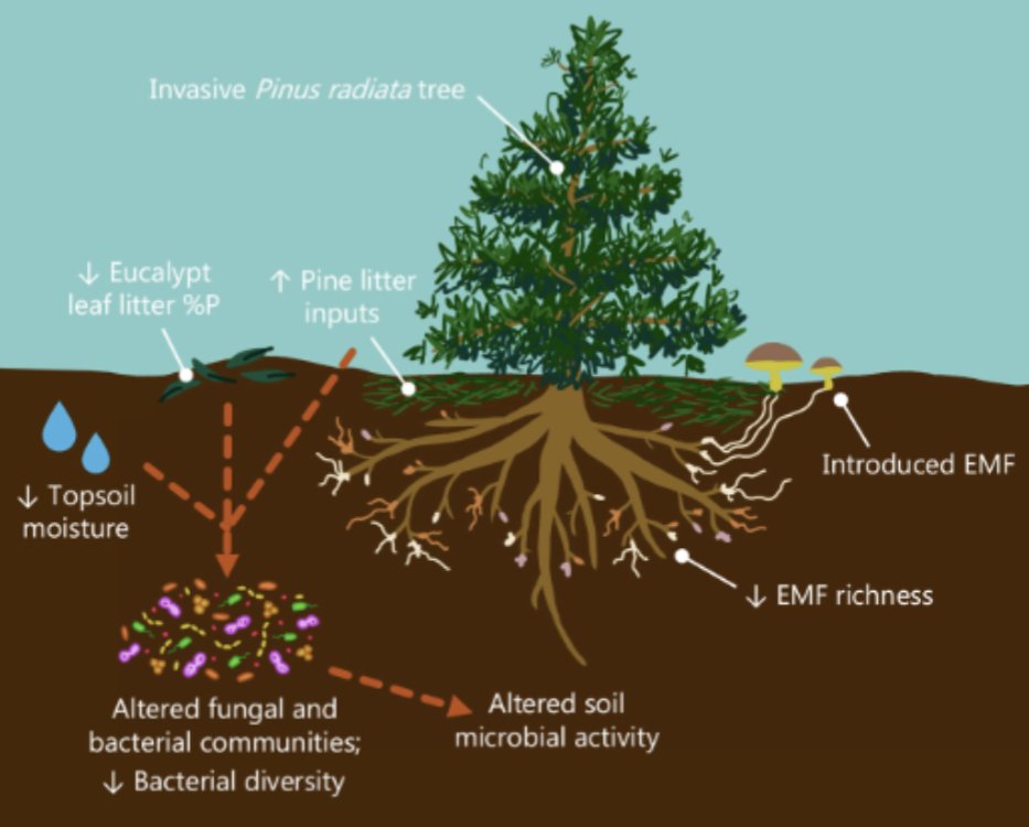Jake Nash tweet media