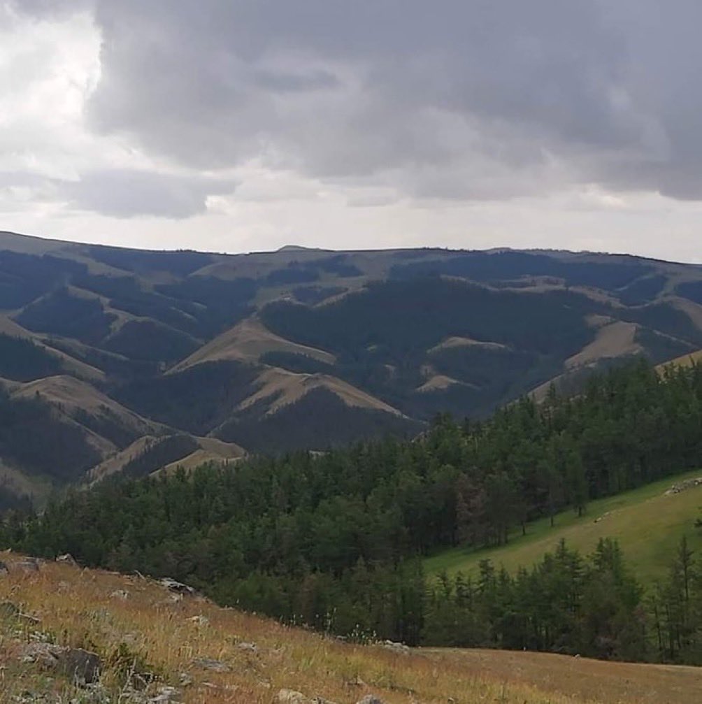 Өглөөний мэнд хүргэе.2025.07.08. Мягмар гариг.