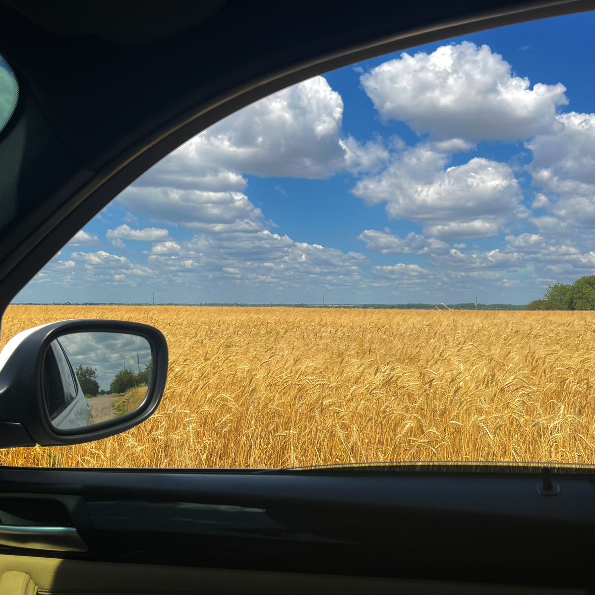 східняки такі: «я вдома»