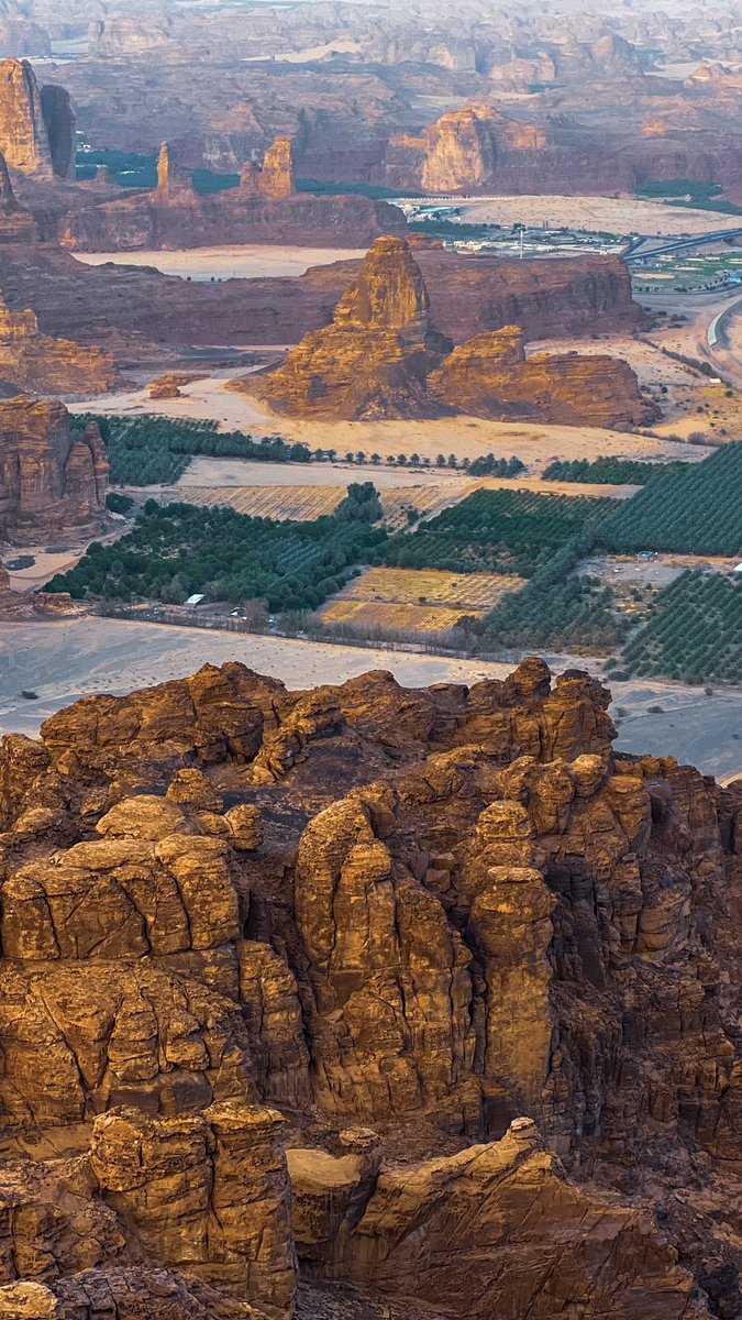 متعب | AlUla tweet media