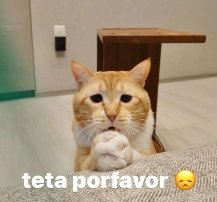 Yo en el momento más tranquilo del día. 😞