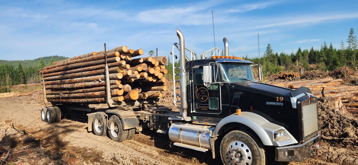 Heavy load. Soft soil. No problem.😤