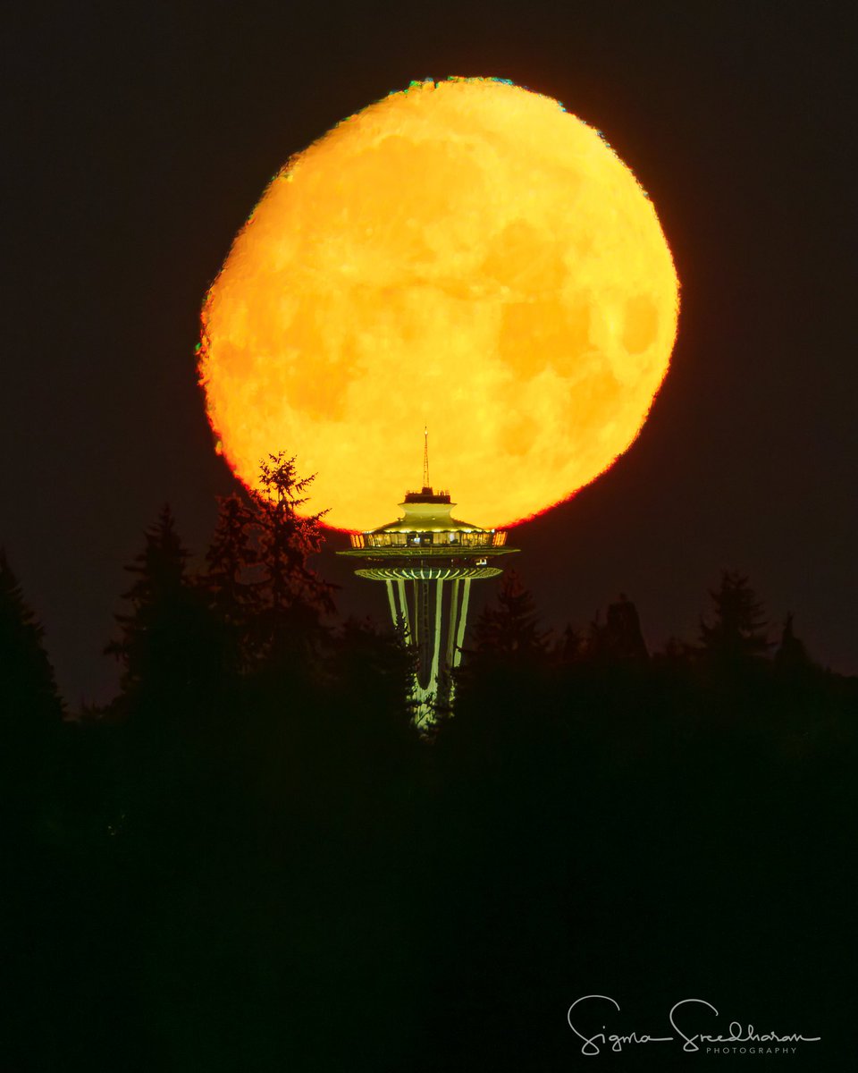 sigmas's tweet image. The Waxing Gibbous Moon was at 88.4% illumination when it set this morning. #Seattle #SpaceNeedle #SonyAlpha
I shot this from about 8 miles away (as the crow flies) from the Space Needle, which allowed me to zoom in on the Moon and make it appear huge in comparison to the…