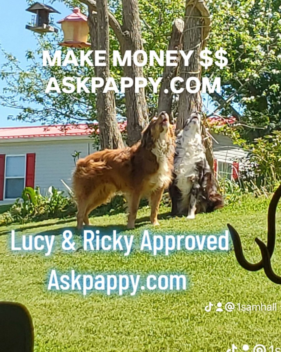 AskPappy's tweet image. CHRISTMAS IS COMING
GET READY  ?
ARE YOU BEING FORCED 
TO BUY OVER PRICED PRODUCTS 
EACH MONTH ?
JUST TO GET PAID ?
DARE TO COMPARE !
IT'S YOUR TIME AND MONEY!
SPEND IT WISELY !

NO AUTOSHIP 
ASKPAPPY.COM 

#melaluca #Shaklee #lifewave #Herbalife #ASEA #Greatlife