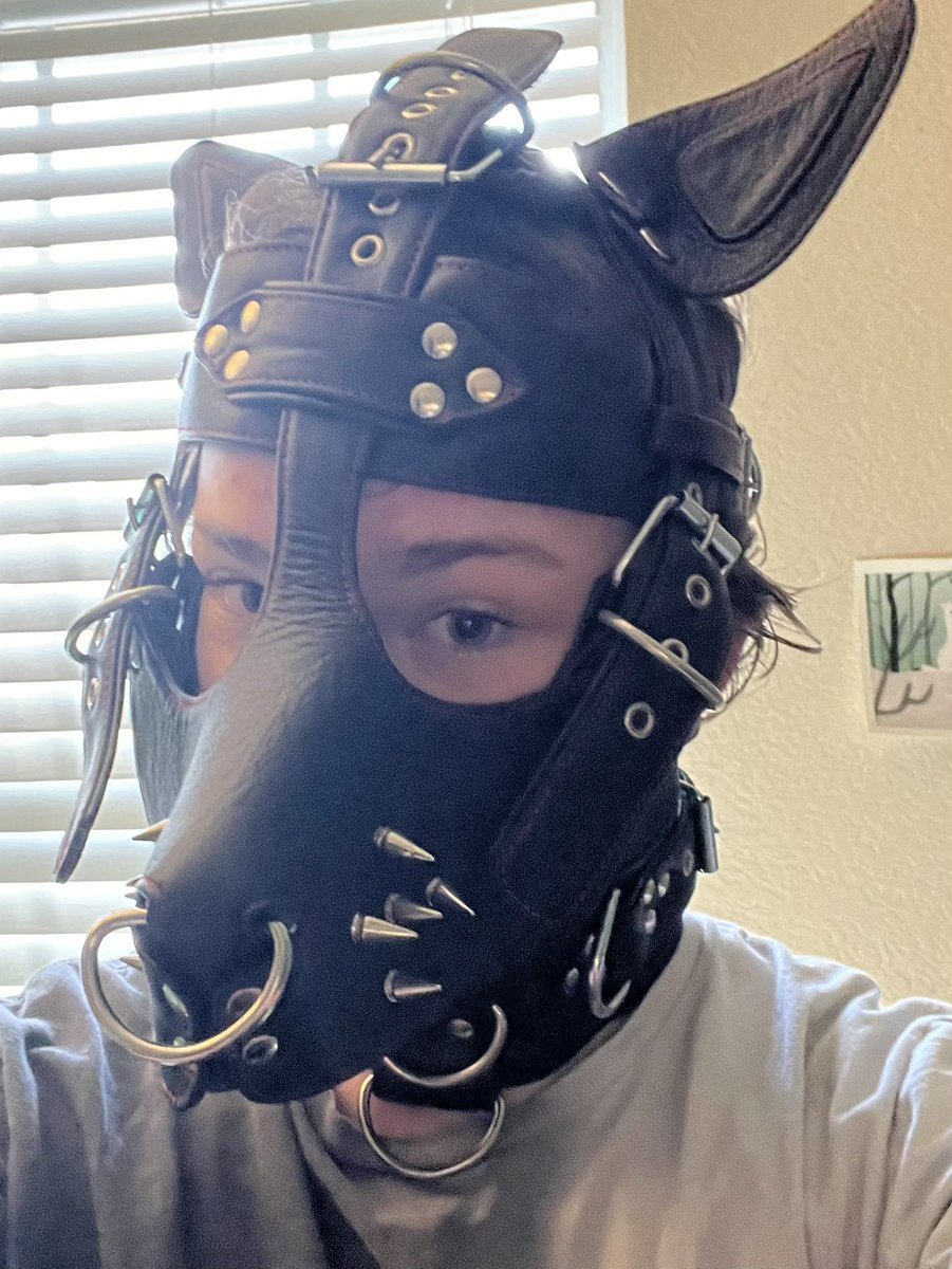 might delete later but…… wruff…