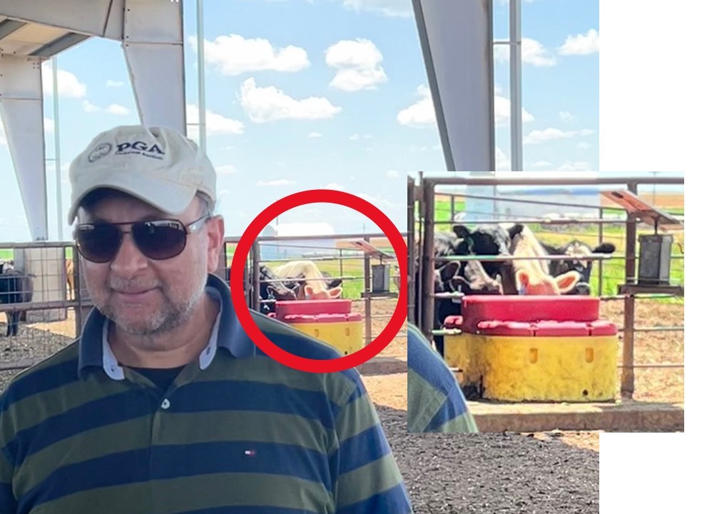 shekhargupta01's tweet photo. Launched our much awaited hardware to support the commercial deployment of our cattle health product in @myaniml. This hardware can be mounted to any place where the cattle come in, it analyzes and within few seconds the rancher gets a text. https://t.co/oHyIUdDlB0