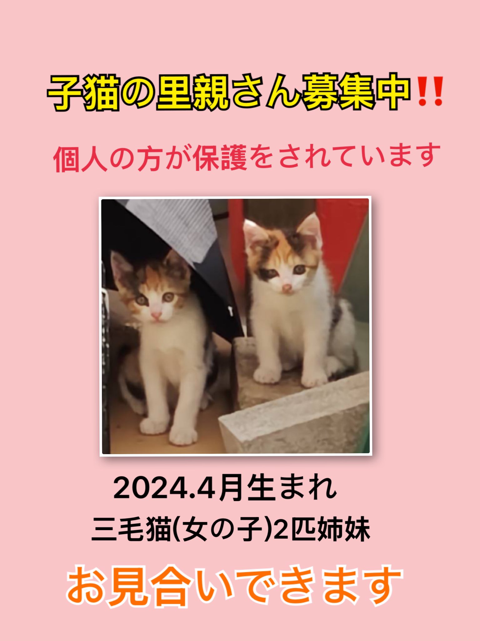 NPO法人たんばコミュニティハブ on X: 