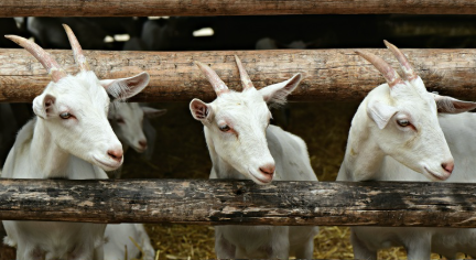 MalfunctionProductions (@malfunctiondude) on Twitter photo 