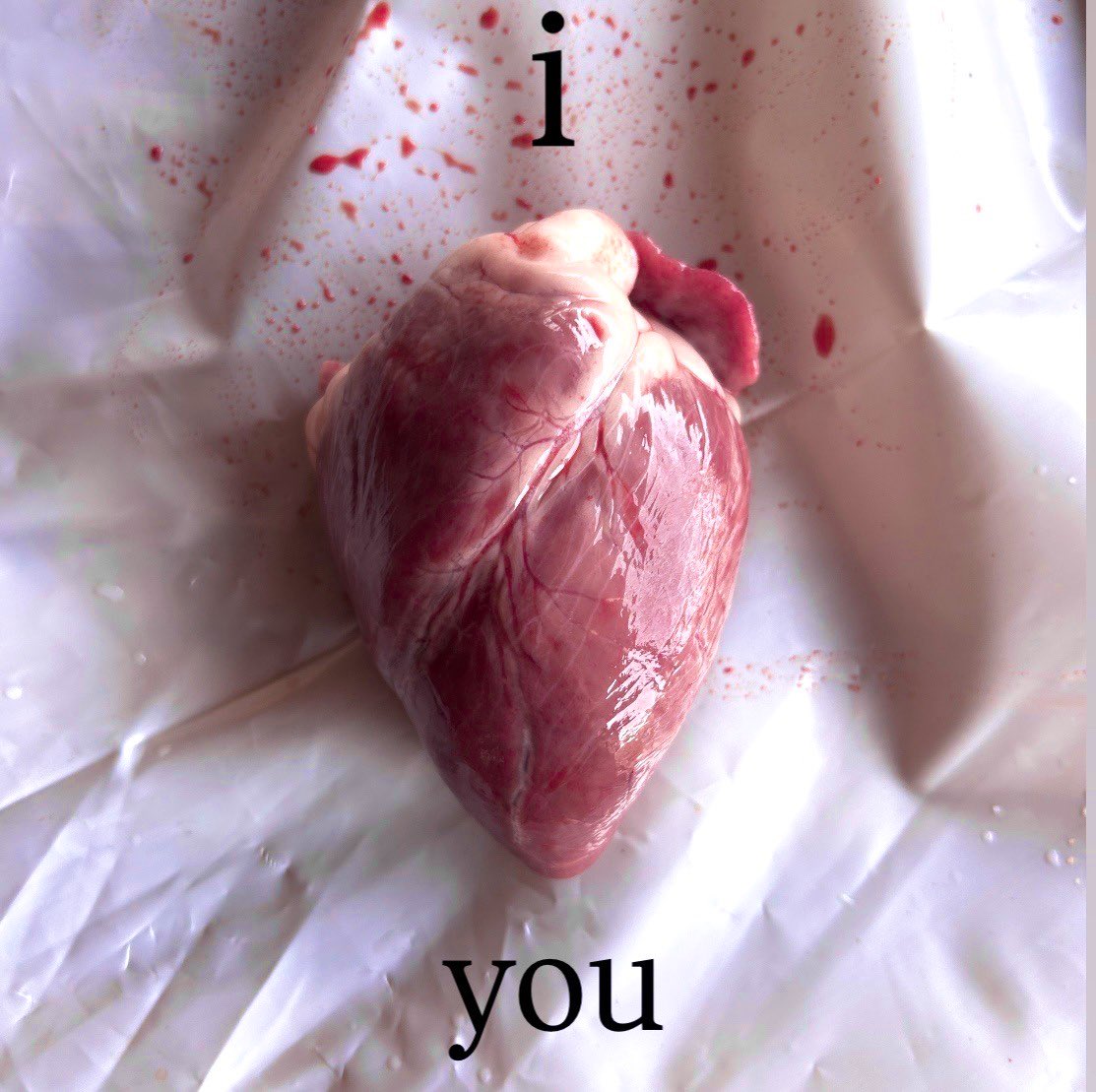 𝐭𝐡𝐞 𝐯𝐚𝐦𝐩𝐢𝐫𝐚 𝐬𝐡𝐨𝐰 🪦 (@horrorsthetics) on Twitter photo 