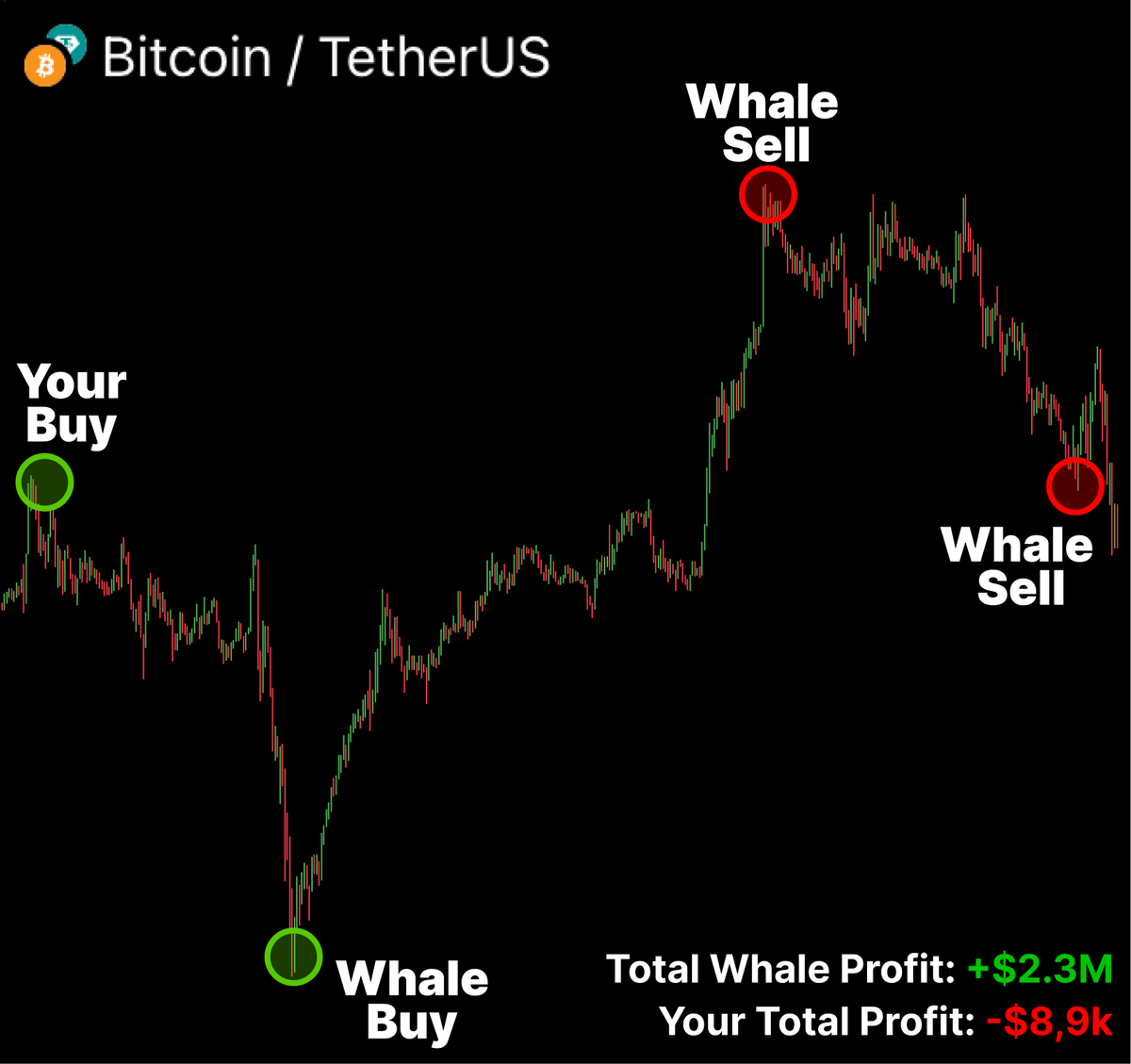 0xklarck's tweet photo. 🚨You will lose ALL your funds this year...

99% users expect x200 on ALTs — reality: -90% this month !

I spent 3+ years to figure out how to find x300 tokens...

Here’s how to find token before PUMP &amp; sell before its dump🧵👇 https://t.co/1LG0wWTJoq