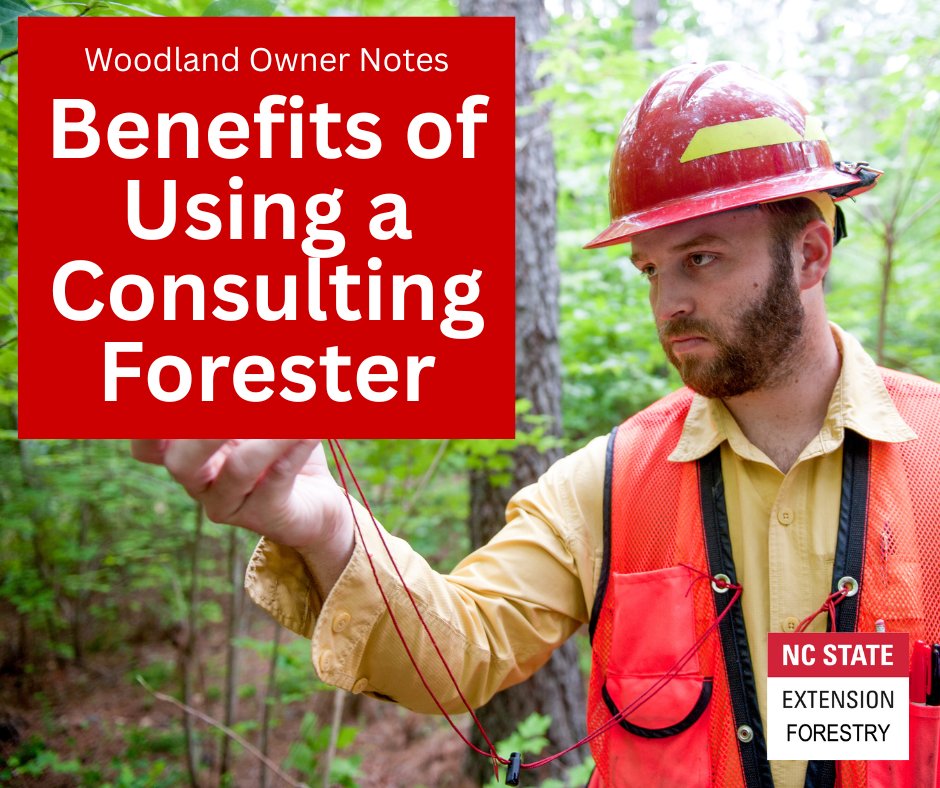 Need help managing your forest?
Consulting #foresters are ‘your friends in the business’, working on your behalf, to manage your woodlands with experience, education, &amp; skill; justified by the increase in value, potential, and productivity of your forest.
content.ces.ncsu.edu/benefits-of-us…