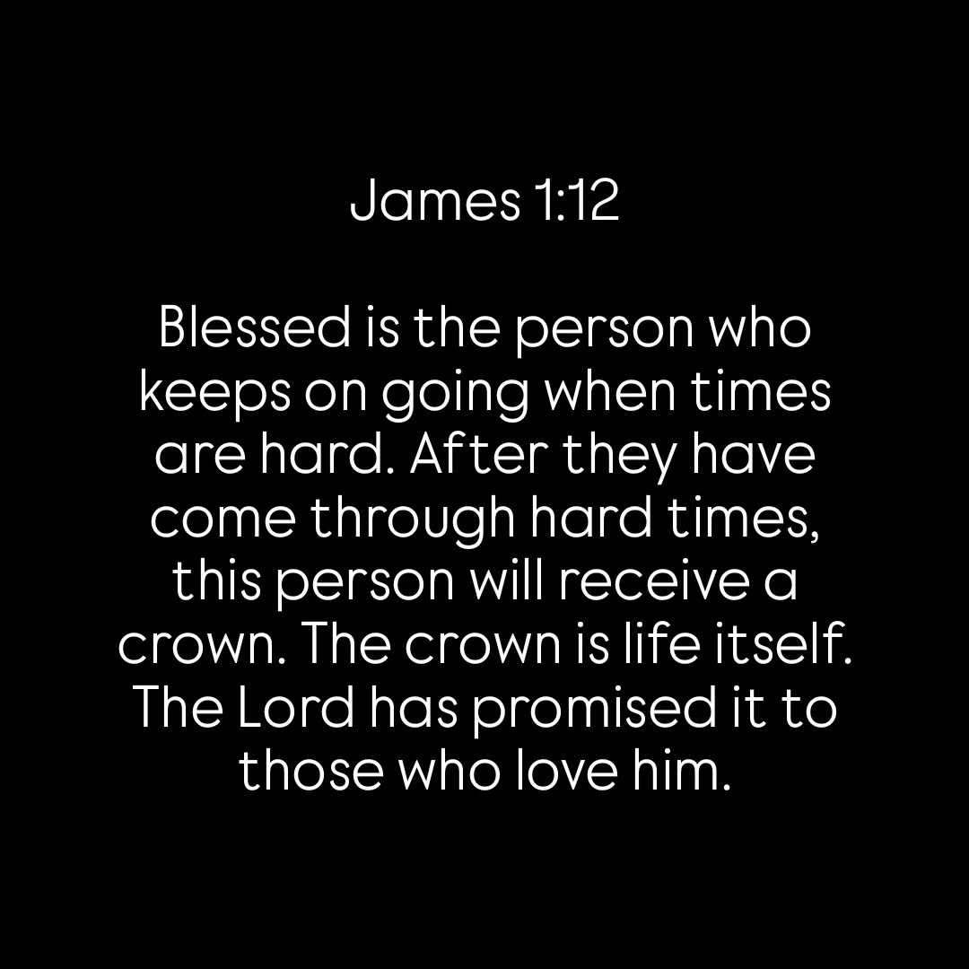 Bible 365 tweet media