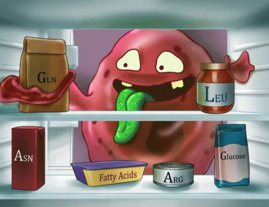 LearnGenetics's tweet image. You know the type: the kid who says “Awesome!” when you say “Ew!” The kid who knows more about mucus than you ever wanted to. Bring 'em to Summer Science Day. We have mutant flies, separated blood, and pig lungs. Saturday, July 12 at the U. gslc.utah.edu/summer-science…