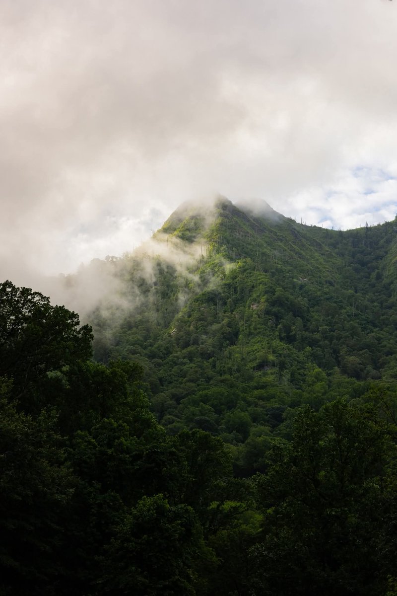 blackholescream's tweet photo. #tennessee #smokymountains #naturephotography #hiking https://t.co/LkPgONBRPP