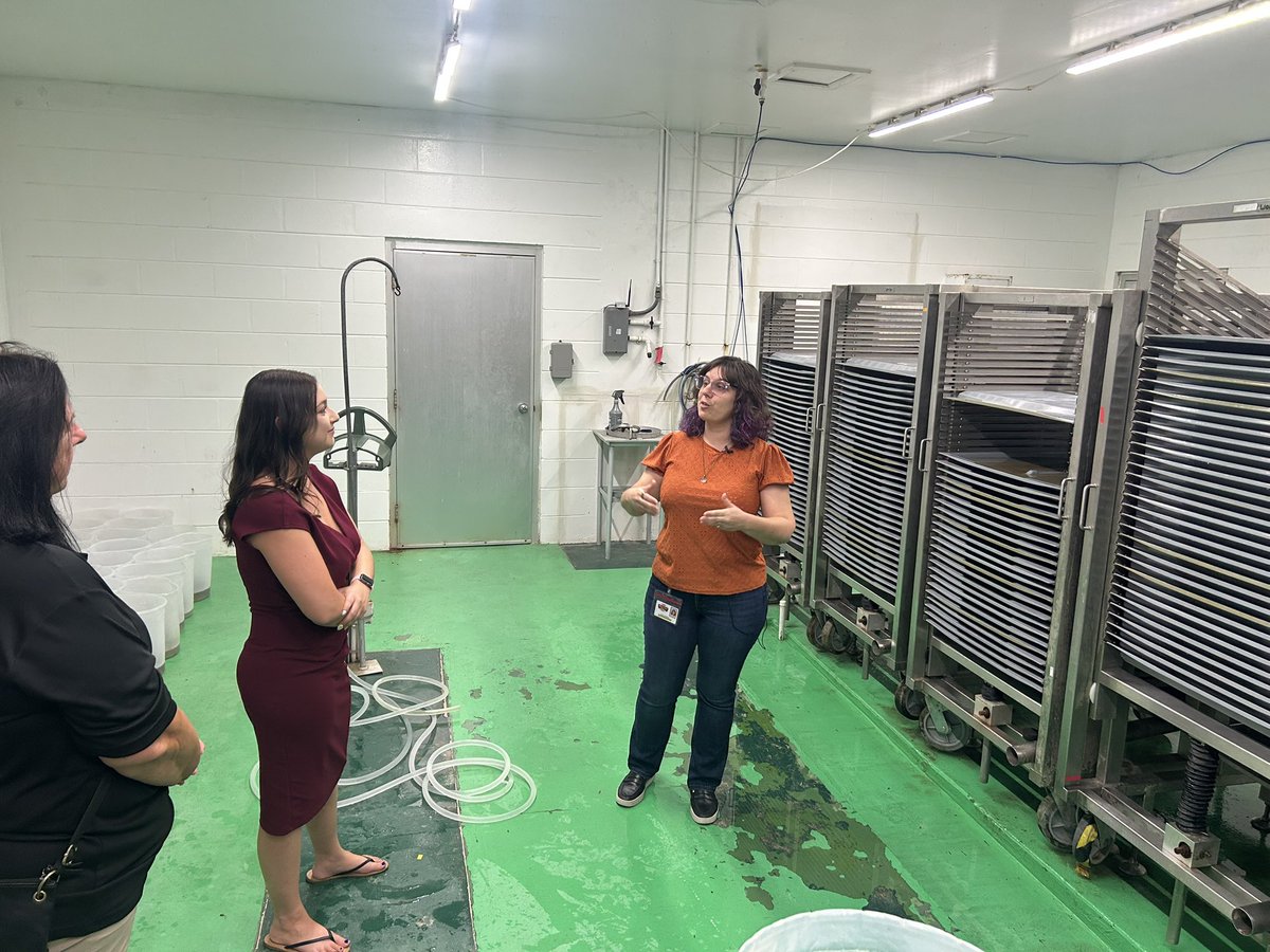 🦟 Big shoutout to Fort Myers IB 2005 grad Rachel Morreale! As Manager for Applied Science &amp; Technology at Lee County Mosquito Control District, she leads a team sterilizing male mosquitoes to curb population growth. Brilliant work, Rachel—your team’s efforts are making a huge