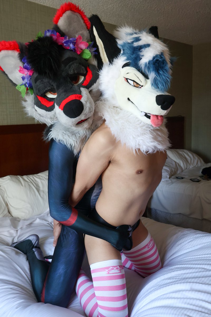 It was only a matter of time before I got my paws on <a href="/knotfraye/">KnotFraye➡️AC</a> at AC 😏😏

📸 <a href="/KnottyDutch/">Dutch</a>