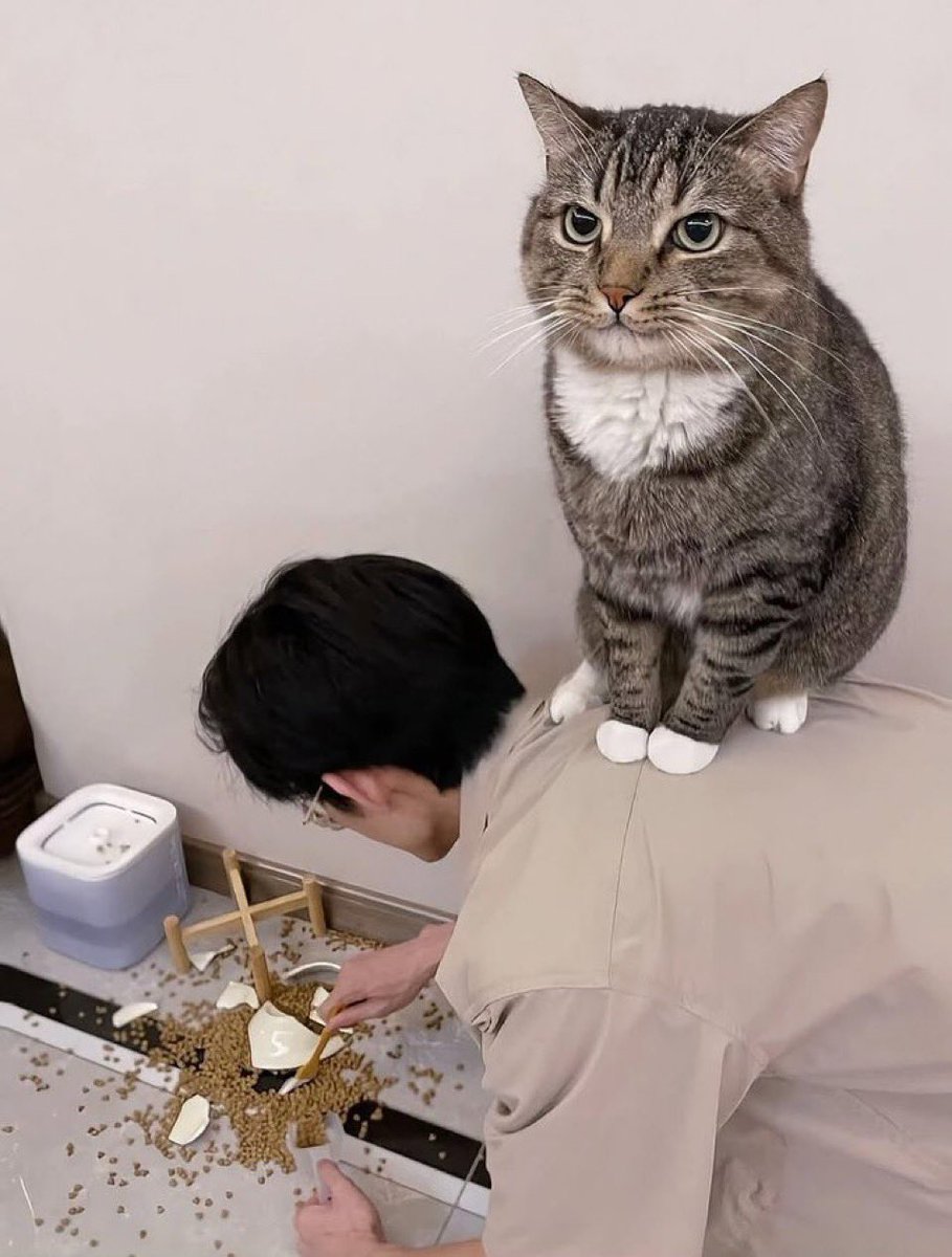 kaansezyum's tweet image. #sameenergy