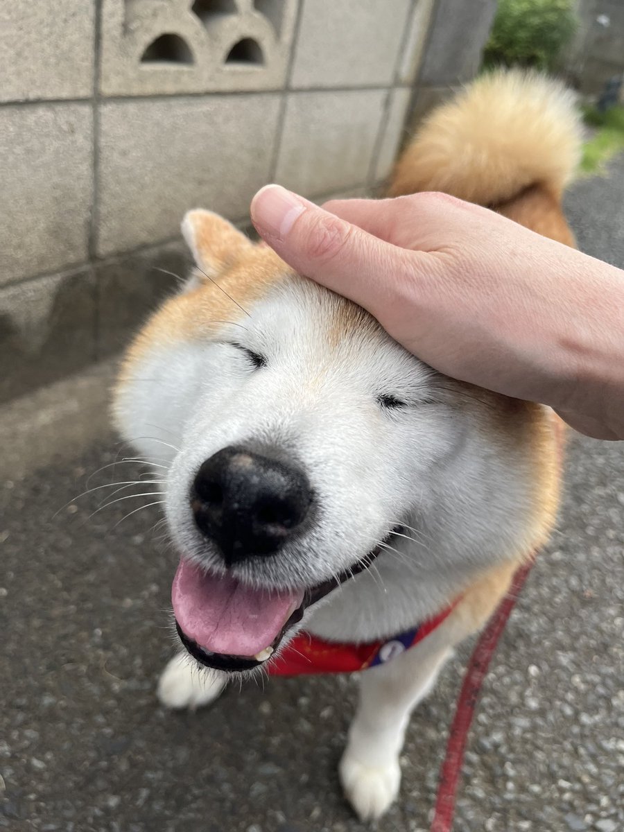 にこにこパワーもらっちゃお😆