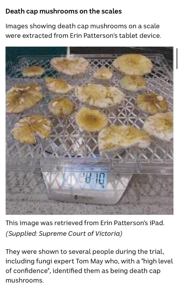 JAZZY J (we live in a) tweet media