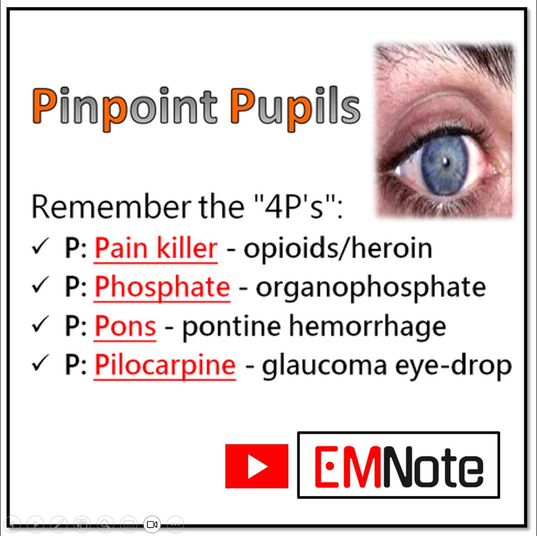 EMNote Clinical Pearls.  tinyurl.com/emnotepearls