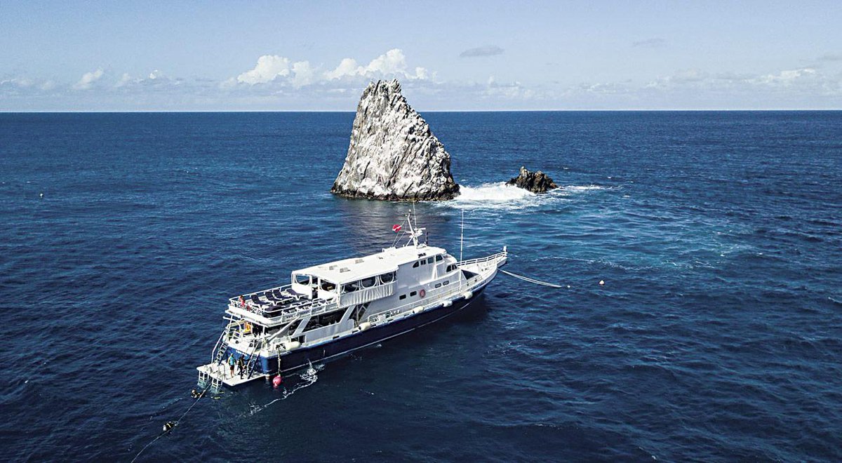 How do you get divers to care more about the reef? You make it easy, consistent, and part of the trip.

Explorer Ventures teamed up with Green Fins to bring real conservation tools on board. 

Read more: padi.co/vspka54a 

🖊 Brooke Morton
📸 Explorer Ventures