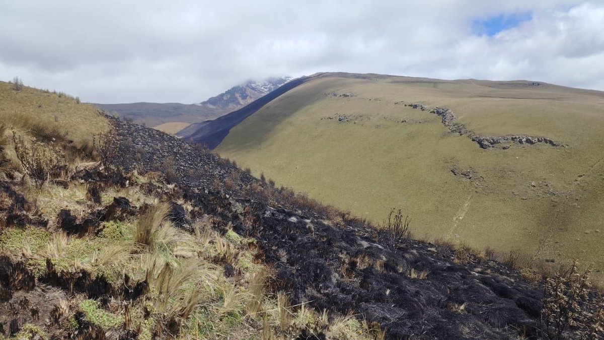 FONAG | El primer Fondo de Agua del mundo (@fonag) on Twitter photo 🚨Incendio controlado | Tras varias horas de trabajo coordinado con <a href="/BomberosQuito/">Bomberos Quito</a>, el incendio forestal en el Cerro Sincholagua fue mitigado.
Como parte de la gestión de incendios forestales, el equipo de guardapáramos del FONAG realizó un barrido por la zona afectada para 🚨Incendio controlado | Tras varias horas de trabajo coordinado con <a href="/BomberosQuito/">Bomberos Quito</a>, el incendio forestal en el Cerro Sincholagua fue mitigado.
Como parte de la gestión de incendios forestales, el equipo de guardapáramos del FONAG realizó un barrido por la zona afectada para