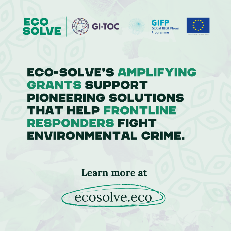 GI_TOC's tweet photo. 💡🌱Meet 3️⃣ innovators tackling environmental crime.
🧬From DNA forensics in Vietnam & Peru to microbiome profiling for parrots and timber supply chain due diligence, discover how #EcoSolve Amplifying Grants are driving impact 👇
@EU_FPI | @OfficialZSL | @ParrotTrust
