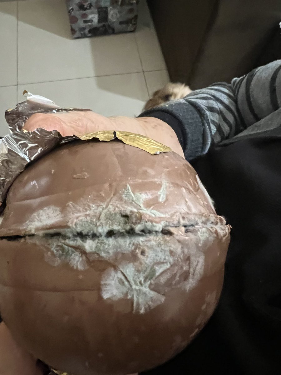 giovanamn's tweet photo. Oi, @cacaushow .
Td bem? Pois aqui não está não.
No dito "dia mundial do chocolate" fui me permitir abrir o ovo "zero açucar" que comprei na páscoa, para dividir com a família...
Pois olha só a vergonha. MOFADO NA VALIDADE. Que prejuízo eu tomei, hein!
@ReclameAQUI @ProconRJ https://t.co/RfhilfSkse