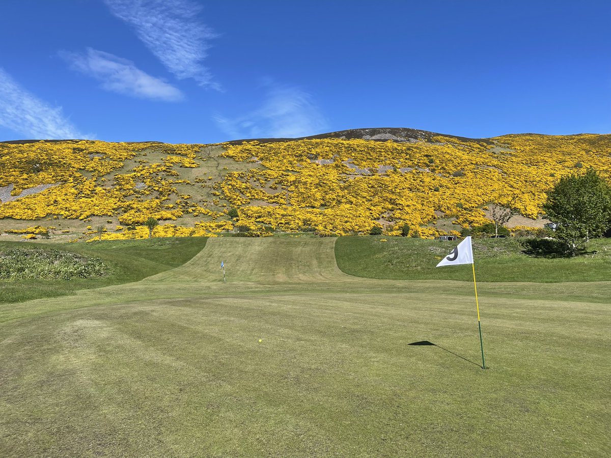 I still think about Helmsdale GC. I hope I can get back up there again 🏴󠁧󠁢󠁳󠁣󠁴󠁿