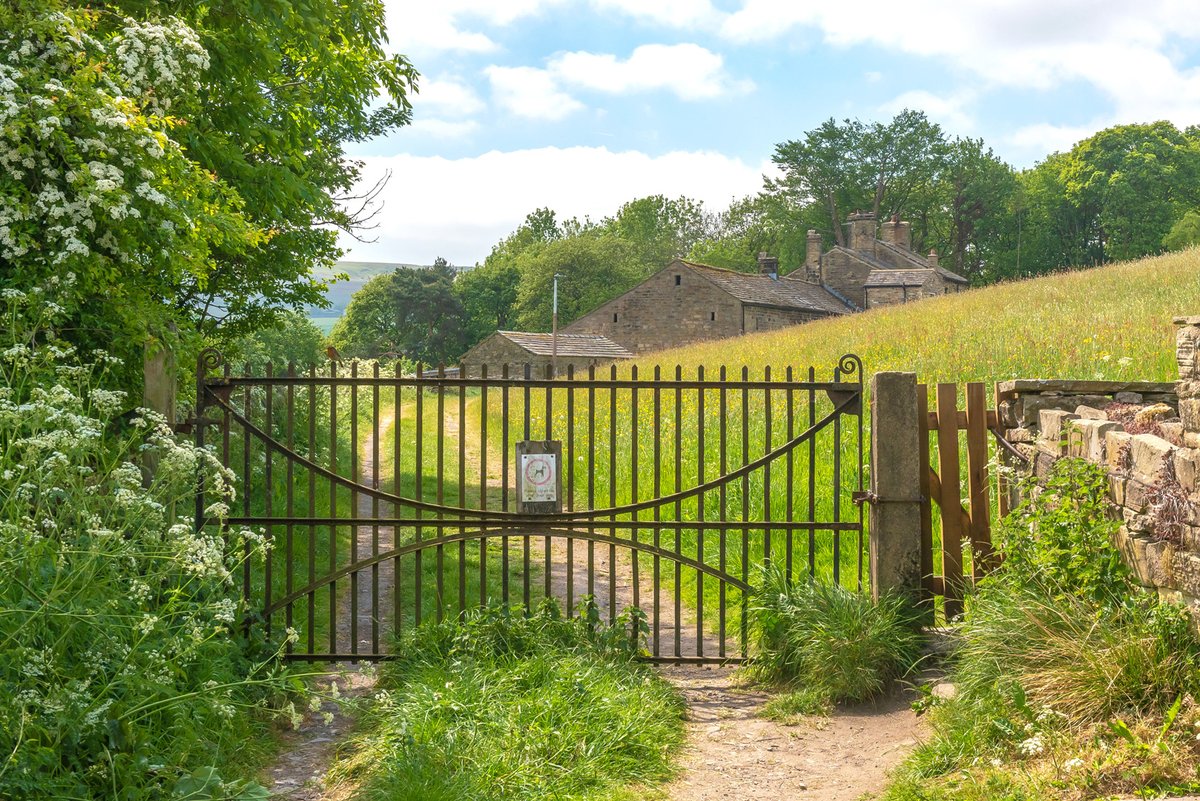 AFowlerPhoto's tweet image. An early summer evening in Oxenhope.
I didn't spot the robin on the gate until I was going through the day's shots on the computer. 😆