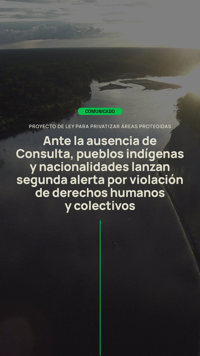 🔗amazonfrontlines.org/chronicles/pro… 
📢 Hoy, la Asamblea Nacional del Ecuador lleva a cabo el segundo debate sobre el proyecto de “Ley para la Recuperación de Áreas Protegidas”, presentado como una medida económica urgente.
13 líderes de pueblos y nacionalidades indígenas han emitido una