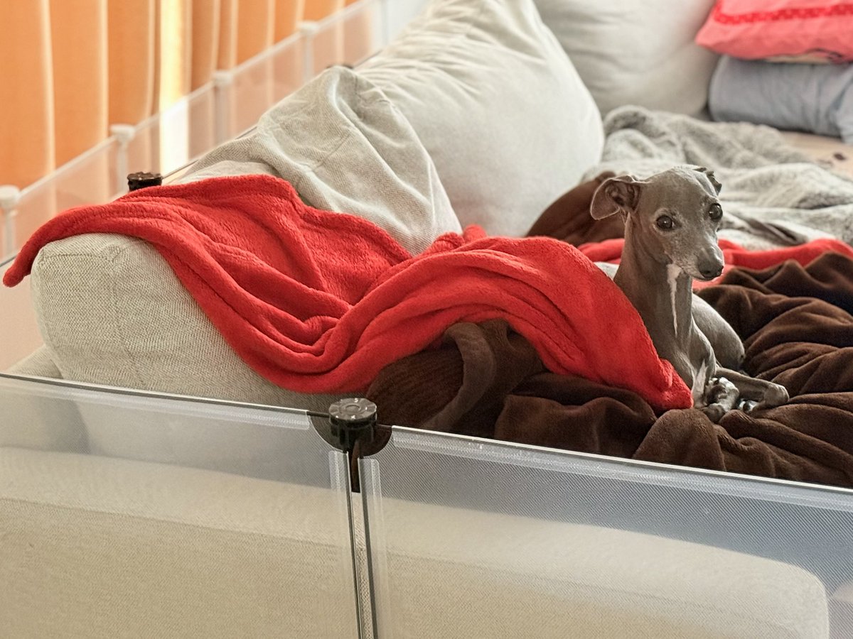 マントなびかせてるみたいだね💃