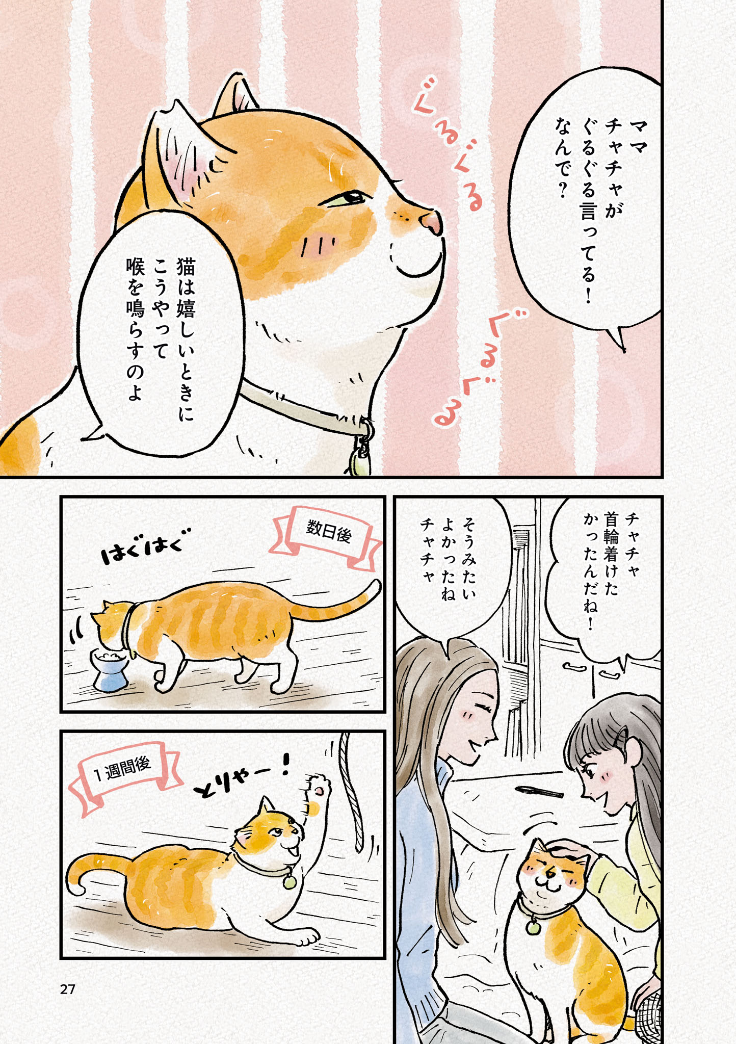 ちゃちゃ☘️可愛い猫ちゃんいます❤︎໒꒱様 So Cute! My Dream Cat Merchandise is Finally Complete! - YouTube