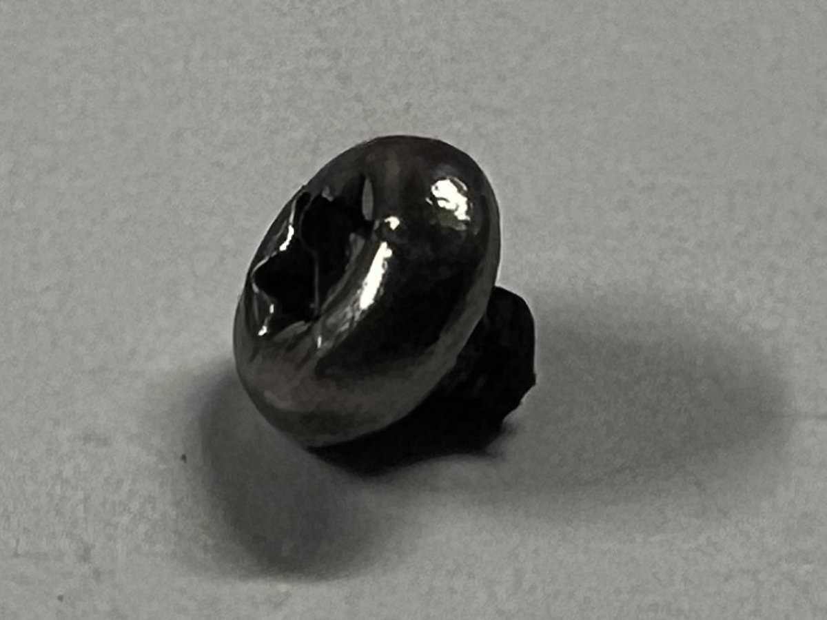 Dude, there was the head of a small screw in my Whole Foods 365 chicken noodle soup!