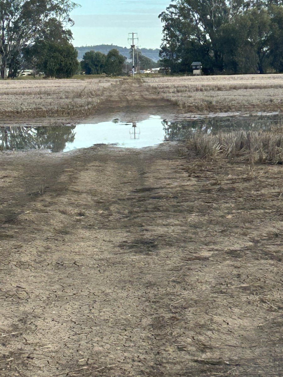 Andrew Watson tweet media