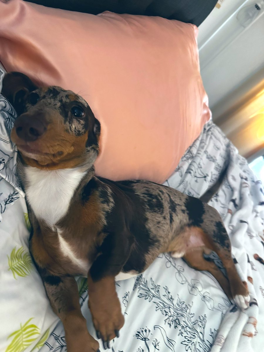 🥰💚