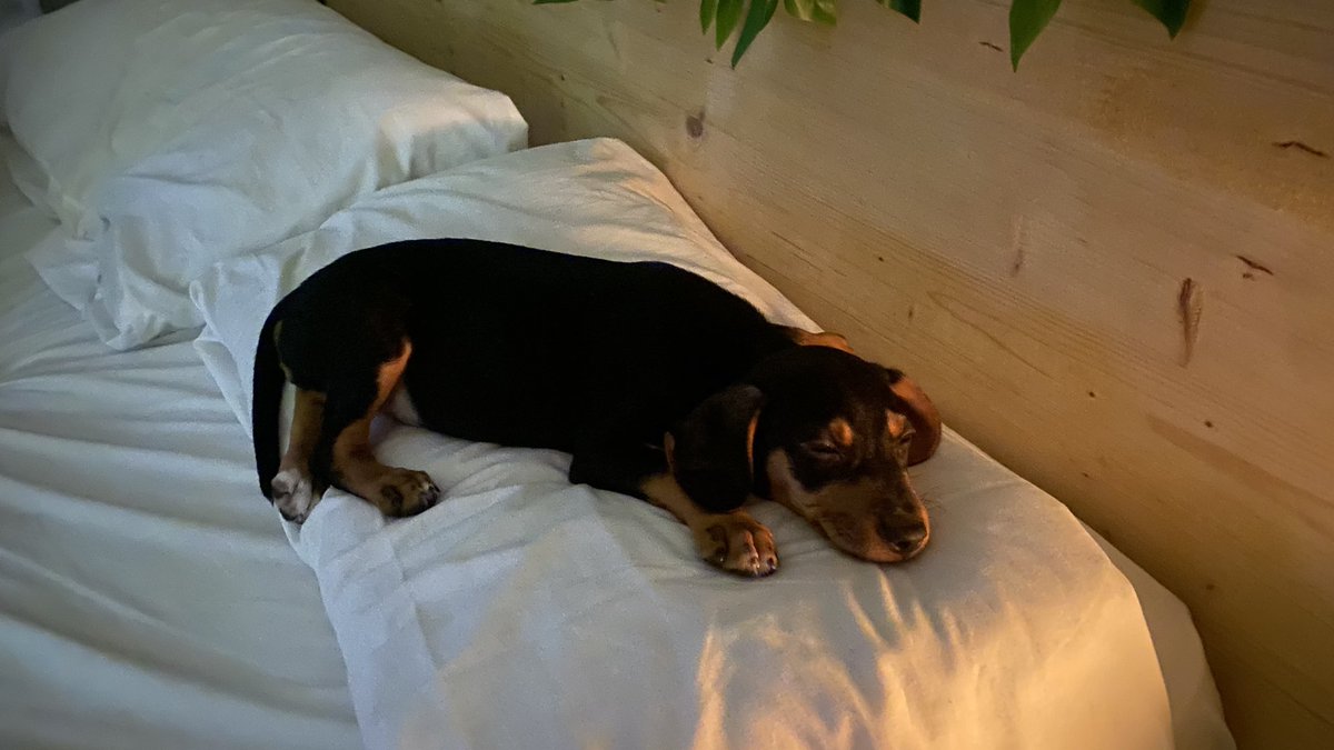 Quién le dice que no puede dormir ahí? Yo no puedooooooo (ya paro con el spam perdón estoy enamorado)