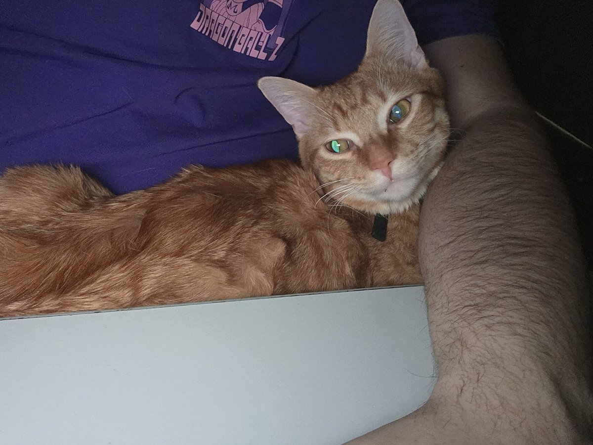 Warwick_IRL's tweet photo. https://t.co/JATikISzxN