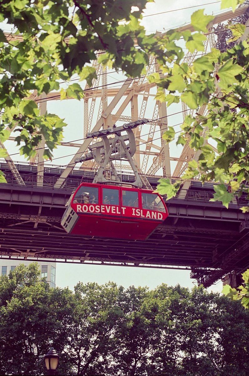 τροχός 🌿 tweet media