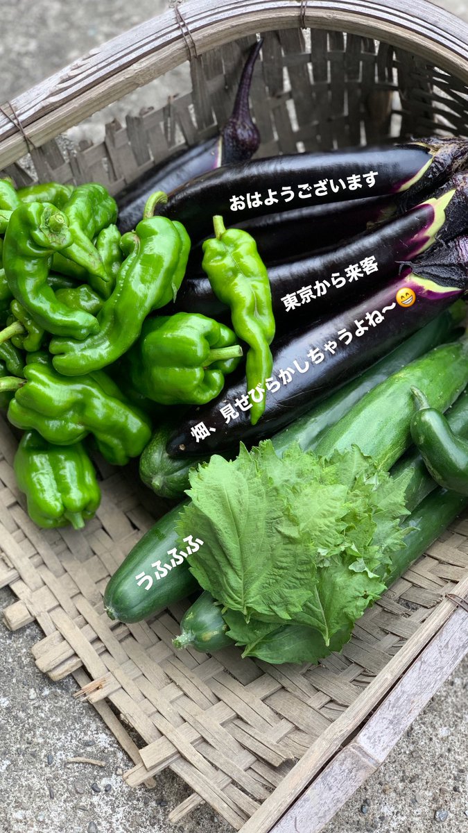 yokota_manager's tweet image. 東京の友に田舎マウントしたった笑