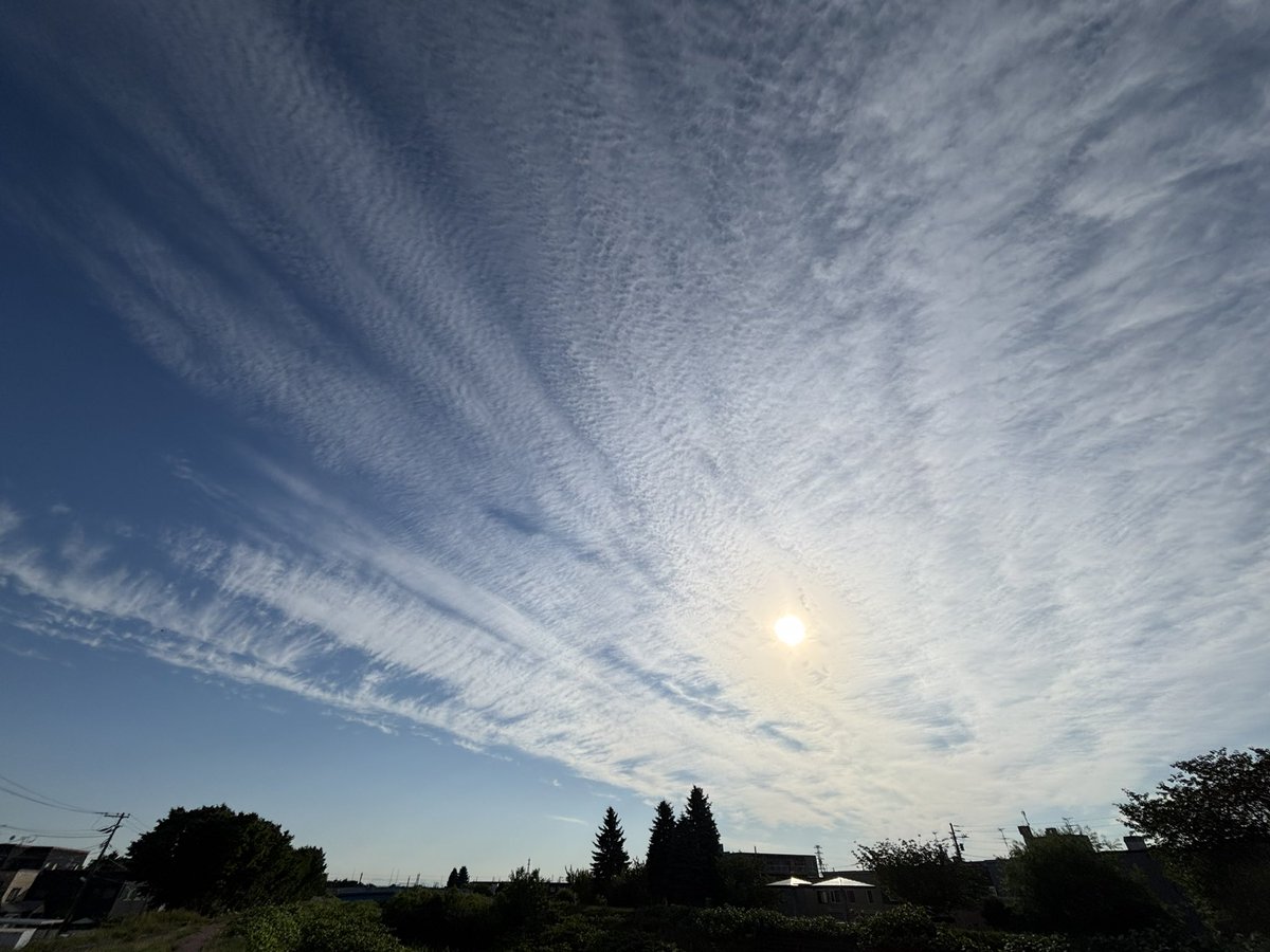 朝散歩にて。
何かが起こりそうな空。