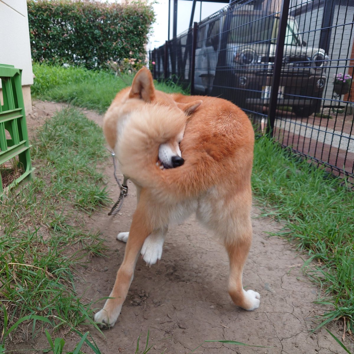 変な生き物！？