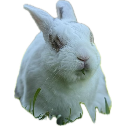 Kayyoken's tweet photo. @CinnaBnu Instead of prayboy it should be FATboy https://t.co/mlIwNYkfsr