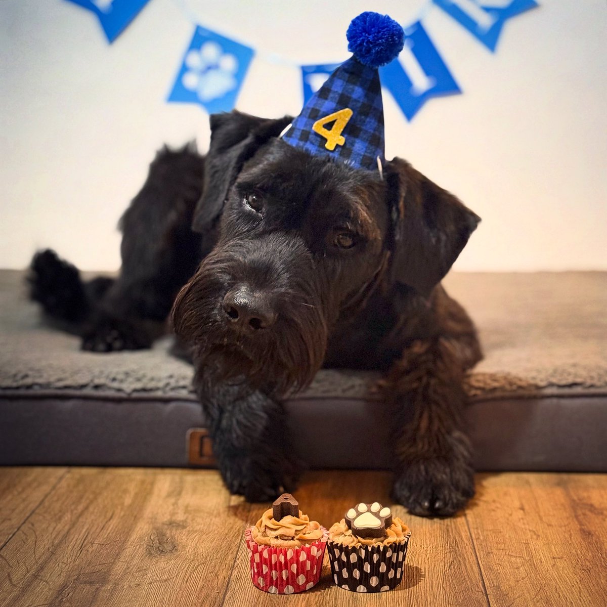 _GS_Albert's tweet image. Happy Birthday Big Man ๐ถ๐ง I donโt have the words to describe just how special this boy is- I just canโt believe heโs 4 already!